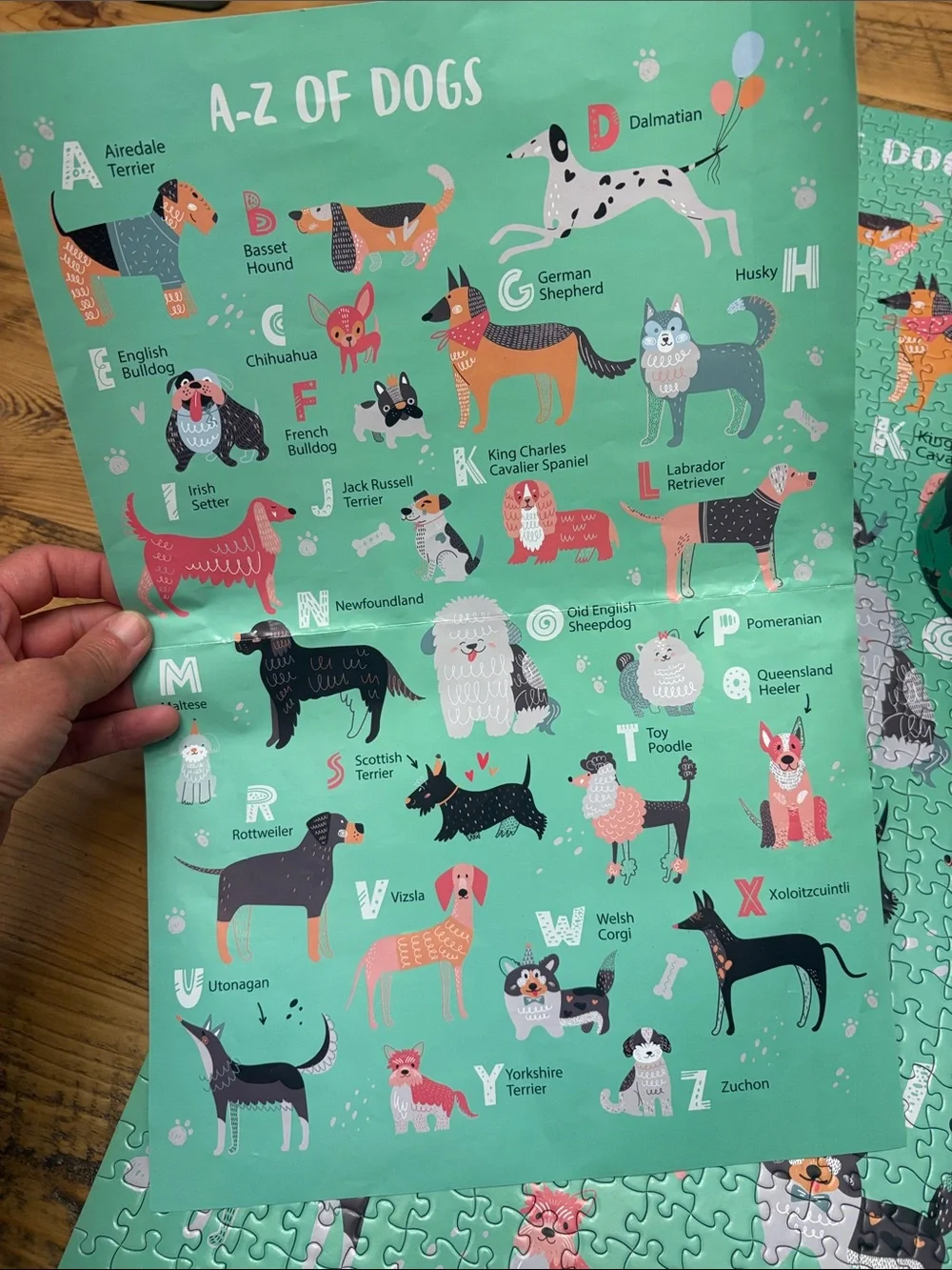 A-Z of Dogs Kids Puzzle - Green Illustrated Dog Alphabet